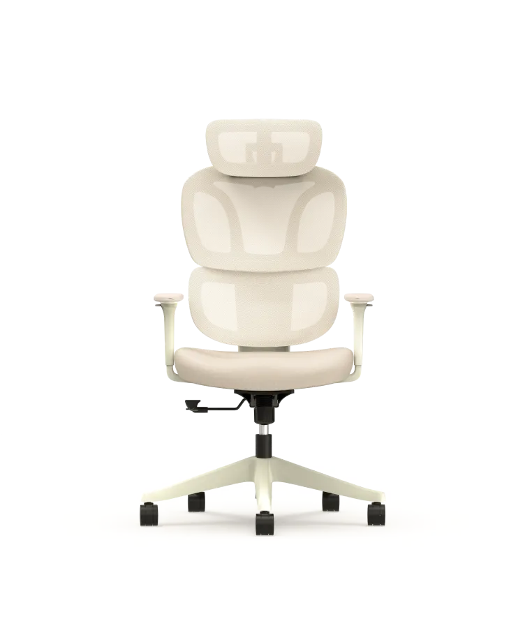 Bürostuhl mit frischem Design BS5